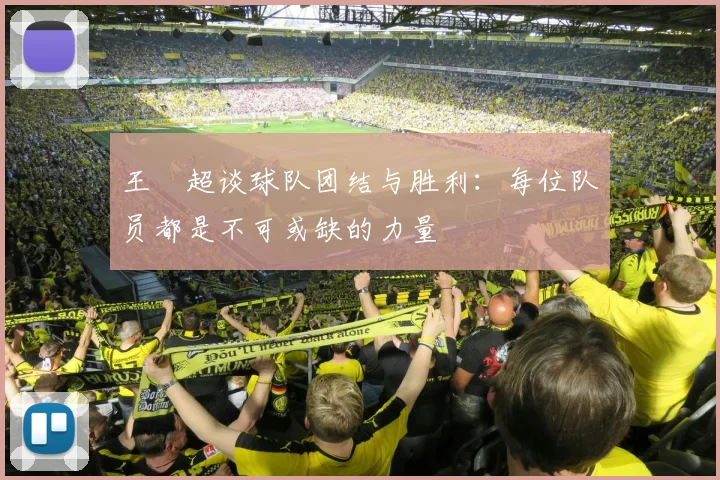 王燊超谈球队团结与胜利：每位队员都是不可或缺的力量