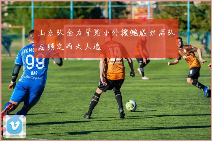 山东队全力寻觅小外援鲍威尔离队后锁定两大人选