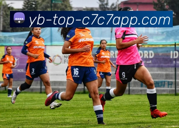 C7C7娱乐服务体系